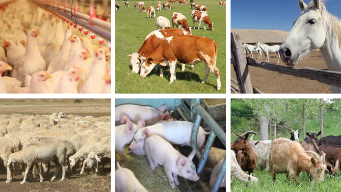 RNT Enterprises, Inc.