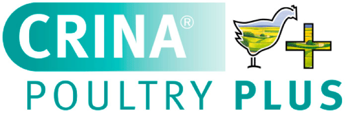 RNT Enterprises, Inc.