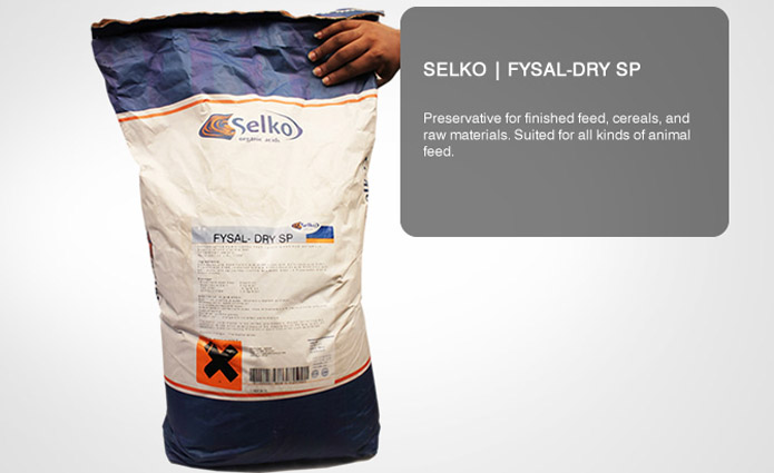 RNT Enterprises, Inc.