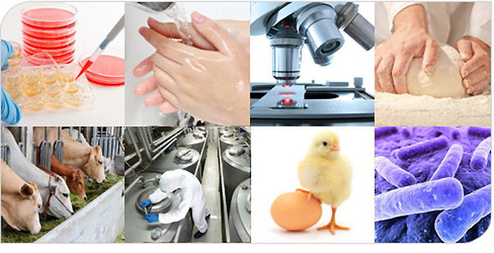 RNT Enterprises, Inc.