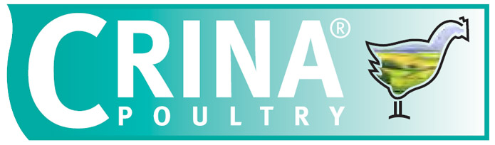 RNT Enterprises, Inc.