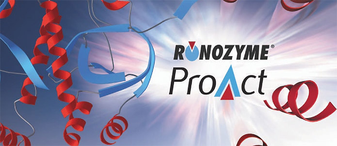 RNT Enterprises, Inc.