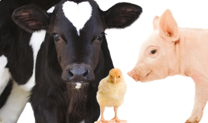 RNT Enterprises, Inc.