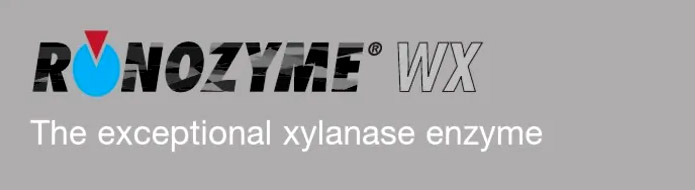 RNT Enterprises, Inc.