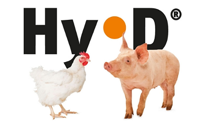 RNT Enterprises, Inc.