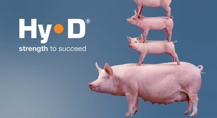 RNT Enterprises, Inc.