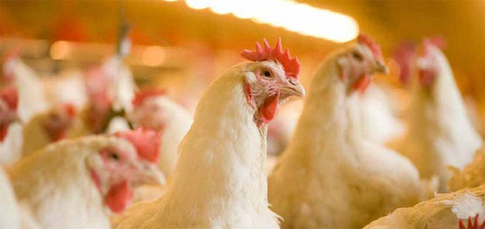 RNT Enterprises, Inc.