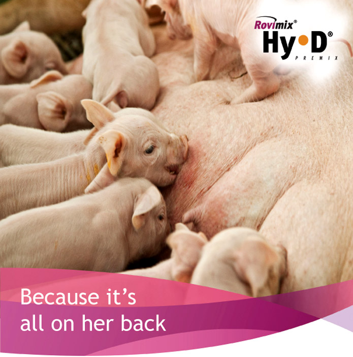 RNT Enterprises, Inc.