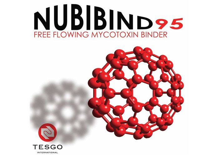 RNT Enterprises, Inc.