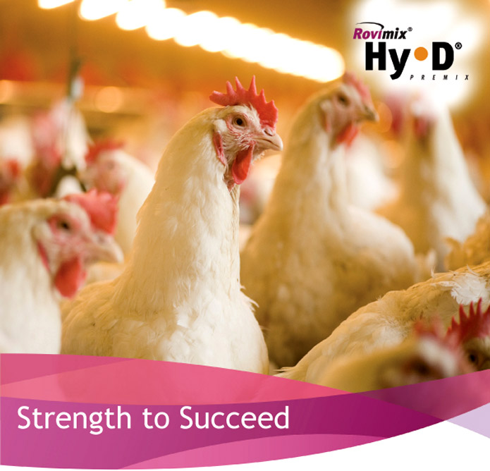 RNT Enterprises, Inc.