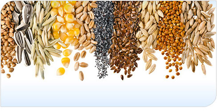 RNT Enterprises, Inc.