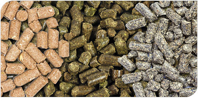 RNT Enterprises, Inc.